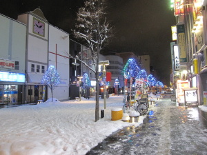 2011年12月1日の買い物公園。冬の夜はきれい